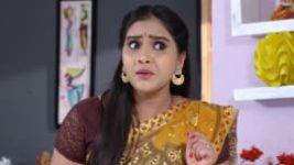 Raktha Sambandam S01E800 16th March 2021 Full Episode