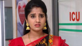 Raktha Sambandam S01E804 20th March 2021 Full Episode