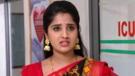 Raktha Sambandam S01E805 22nd March 2021 Full Episode