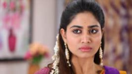 Rettai Roja S01E114 28th January 2020 Full Episode