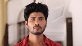 Rettai Roja S01E117 31st January 2020 Full Episode