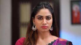 Rettai Roja S01E132 21st February 2020 Full Episode