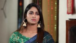 Rettai Roja S01E161 30th July 2020 Full Episode