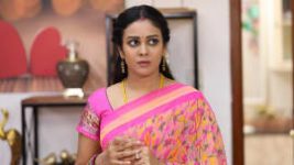 Rettai Roja S01E233 24th October 2020 Full Episode