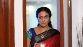 Rettai Roja S01E247 11th November 2020 Full Episode