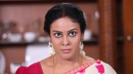 Rettai Roja S01E263 1st December 2020 Full Episode