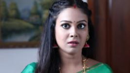 Rettai Roja S01E286 28th December 2020 Full Episode