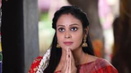 Rettai Roja S01E313 30th January 2021 Full Episode