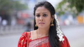 Rettai Roja S01E316 3rd February 2021 Full Episode