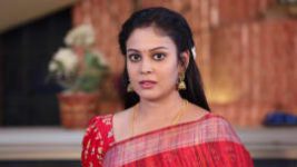 Rettai Roja S01E317 4th February 2021 Full Episode