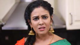 Rettai Roja S01E332 22nd February 2021 Full Episode