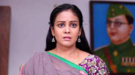 Rettai Roja S01E384 24th April 2021 Full Episode