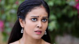 Rettai Roja S01E391 4th May 2021 Full Episode