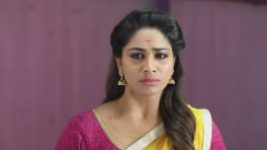 Rettai Roja S01E41 14th October 2019 Full Episode