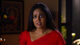 Rettai Roja S01E416 4th June 2021 Full Episode