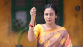 Rettai Roja S01E452 20th July 2021 Full Episode