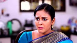 Rettai Roja S01E583 9th November 2021 Full Episode