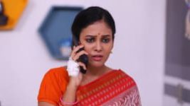 Rettai Roja S01E587 11th November 2021 Full Episode