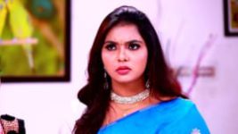 Rettai Roja S01E603 20th November 2021 Full Episode