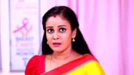 Rettai Roja S01E611 29th November 2021 Full Episode