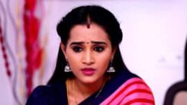 Rettai Roja S01E627 17th December 2021 Full Episode