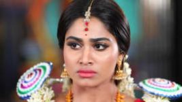 Rettai Roja S01E69 21st November 2019 Full Episode