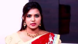 Rettai Roja S01E703 19th March 2022 Full Episode