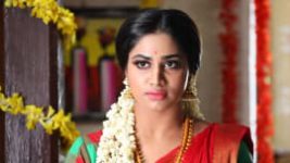 Rettai Roja S01E71 25th November 2019 Full Episode