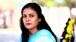 Rettai Roja S01E714 1st April 2022 Full Episode