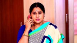 Rettai Roja S01E875 11th October 2022 Full Episode