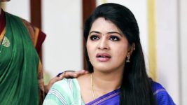 Saravanan Meenatchi S18E110 Meenakshi Is Pregnant! Full Episode