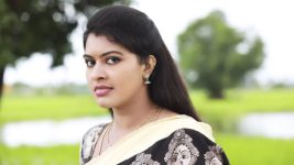 Saravanan Meenatchi S18E177 Meenakshi is in Danger! Full Episode