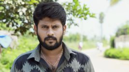 Saravanan Meenatchi S18E181 Saravanan to Dig into the Girl's Past! Full Episode