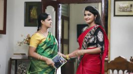 Saravanan Meenatchi S18E182 Meenakshi Protects Dhaivana Full Episode