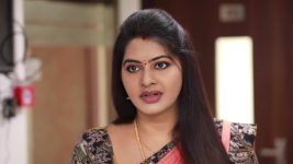 Saravanan Meenatchi S18E340 Meenatchi to the Rescue Full Episode