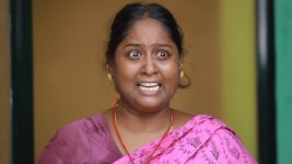 Saravanan Meenatchi S18E350 Pazhani Goes Red with Rage Full Episode