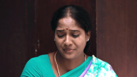 Saravanan Meenatchi S18E352 A Requiem for Raji Full Episode