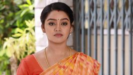 Saravanan Meenatchi S18E362 Muthazhagu to Kill Sankara Pandi Full Episode