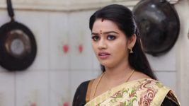 Saravanan Meenatchi S18E371 Meenatchi and Muthazhagu on Fire Full Episode