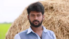 Saravanan Meenatchi S18E376 Thangam Traps Saravanan Full Episode