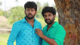 Saravanan Meenatchi S18E380 Saravanan, Sankara Pandi's Plan Full Episode