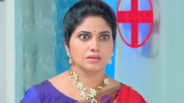 Sashirekha Parinayam S10E20 Will Abhi, Sashi Survive? Full Episode