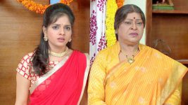 Sashirekha Parinayam S11E03 Will Nagamani's Plan Work? Full Episode