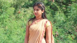 Sashirekha Parinayam S13E11 Devayani Falls off the Cliff Full Episode