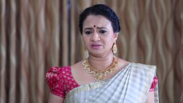 Seetha Vallabha S01E493 25th June 2020 Full Episode