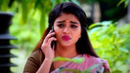 Sembaruthi S01E1200 22nd November 2021 Full Episode