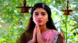 Sembaruthi S01E1201 23rd November 2021 Full Episode