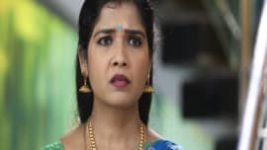 Sembaruthi S01E23 16th November 2017 Full Episode