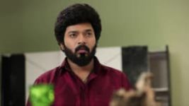 Sembaruthi S01E367 7th January 2019 Full Episode