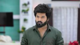 Sembaruthi S01E406 20th February 2019 Full Episode